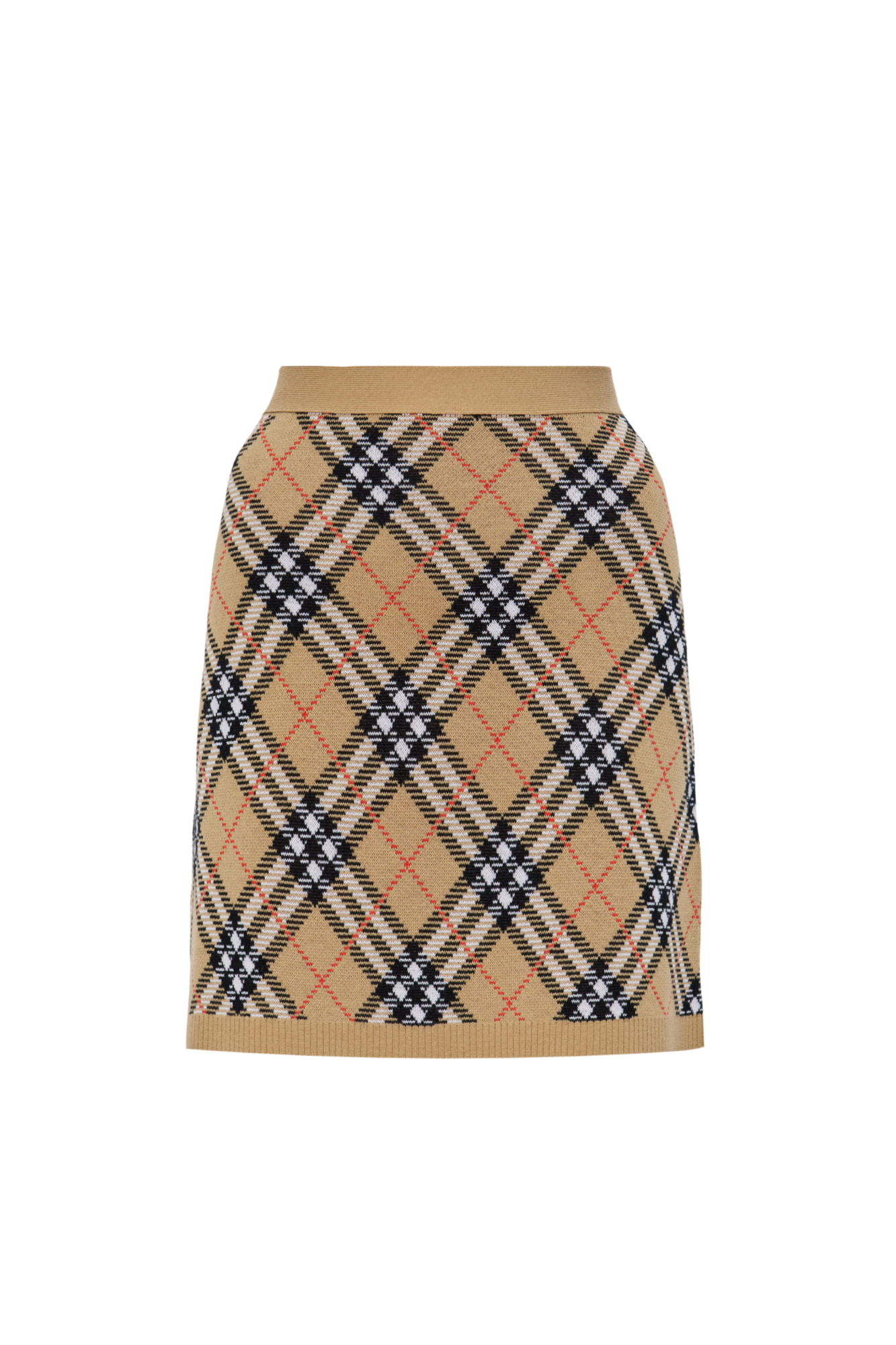 Knee Length Circle Wool Skirt for Women, Pleated Winter